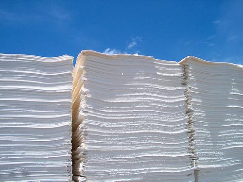 O Papel em Números: Dados e Curiosidades sobre a Celulose no Brasil