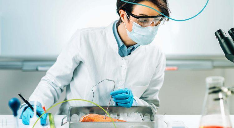 Segurança Alimentar e Nutricional: como trabalhar na área?